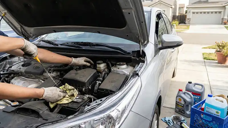 Under the Hood Key Checks and Fluid Levels