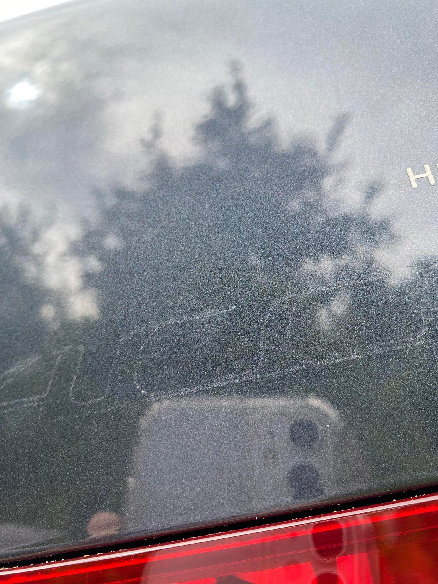 How to Remove Car Emblems Without Damage: Expert Tips