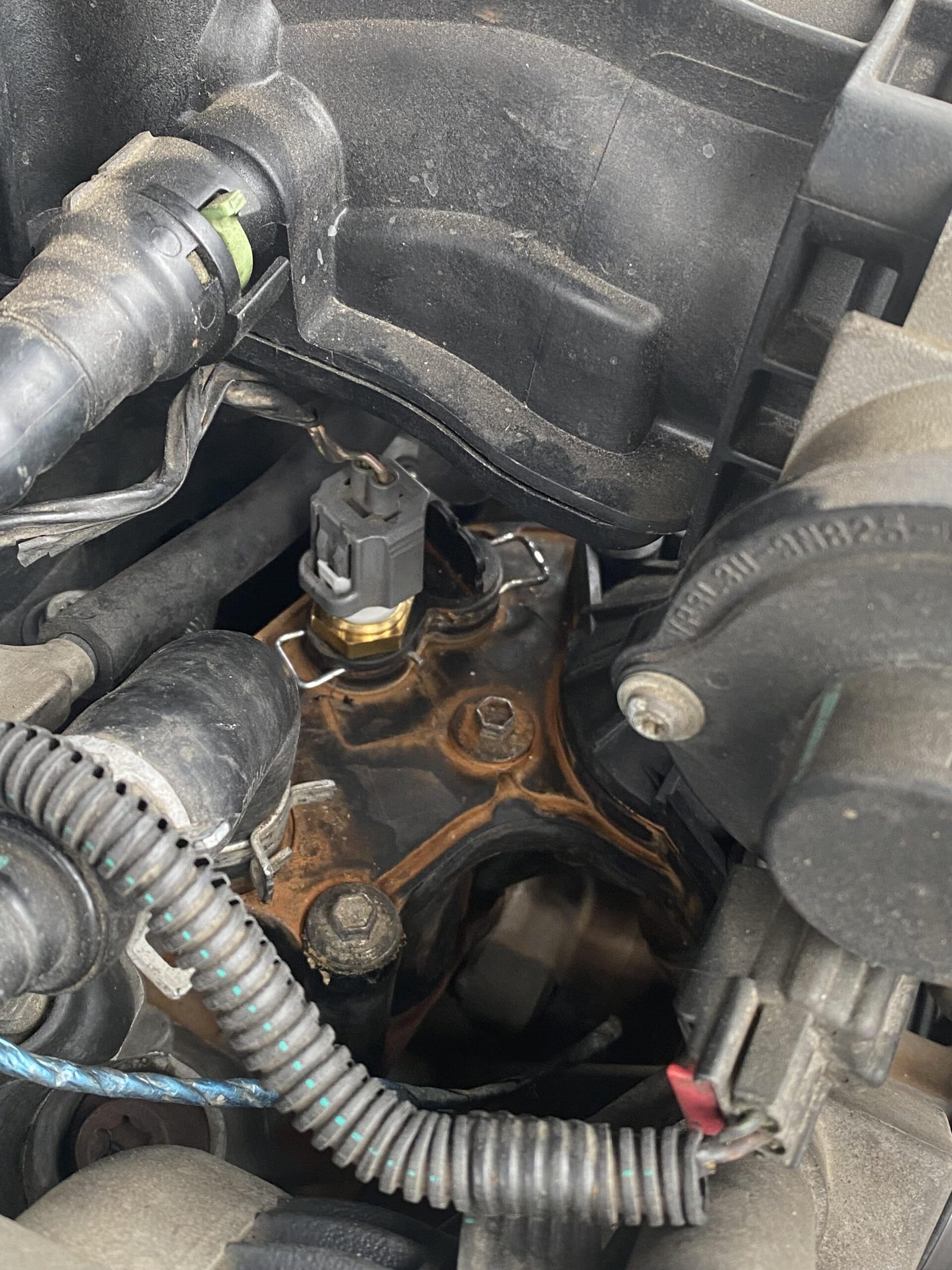 How to Replace Car Thermostat Housing: Step-by-Step Guide