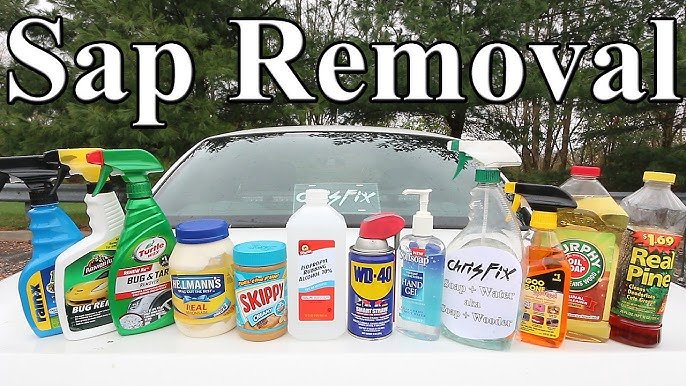 How to Remove Tree Sap from Car Paint Safely: Expert Tips